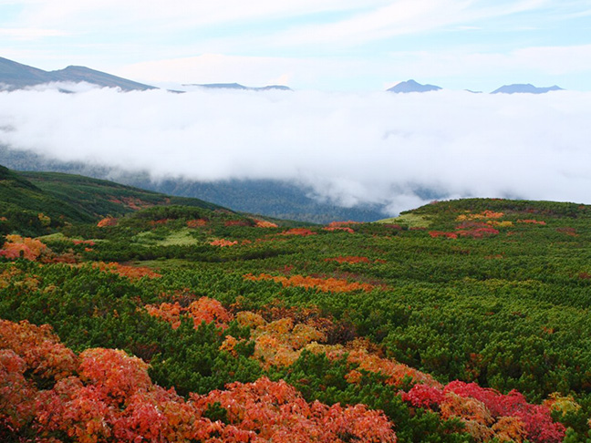 日本一早い紅葉