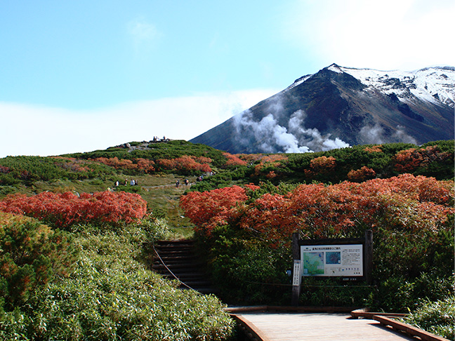 日本一早い紅葉