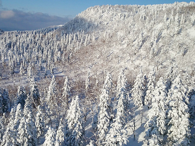 ダイヤモンドダスト＆雪の結晶観察 