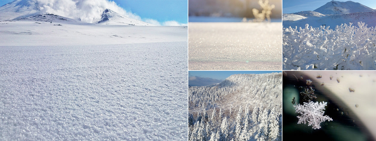 ダイヤモンドダスト＆雪の結晶観察 