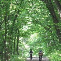 譚ｱ蟾晉伴繧ｵ繧､繧ｯ繝ｪ繝ｳ繧ｰ